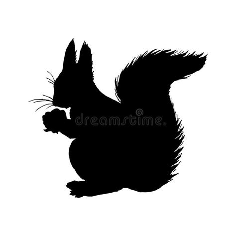 Eichhörnchen Schattenbild Schwarze Weiße Ikone Auch Im Corel