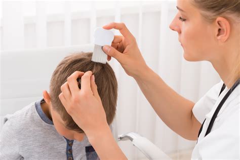 Quick Head Lice Facts Lice Clinics Of America