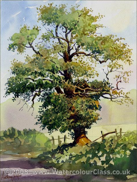 Tree Watercolor Painting Watercolor Landscape Paintings Watercolor Trees