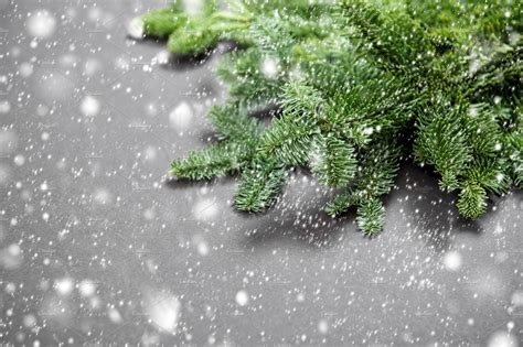 Christmas Tree Branches In Snow ~ Holiday Photos ~ Creative Market
