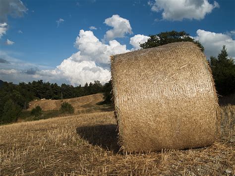 Image Tag Bale Of Hay Image Quantity Tag Hippopx