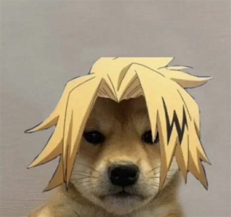 Doge Meme Anime Dog Pfp Perrodog Carneslalaguna