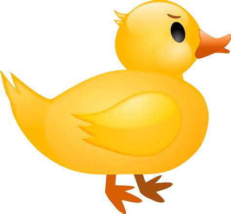 5600 Yellow Duck Illustrations Royalty Free Vector Graphics Clip