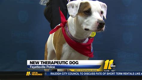 Fayetteville Police Department Introduces Newest Therapy Dog Abc11