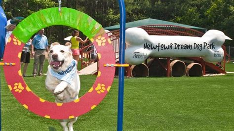 How Dog Parks Create Pleasure For Dogs And Owners Town And Country