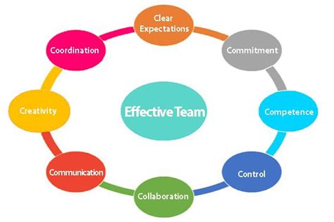 Building An Effective Team Qs Study