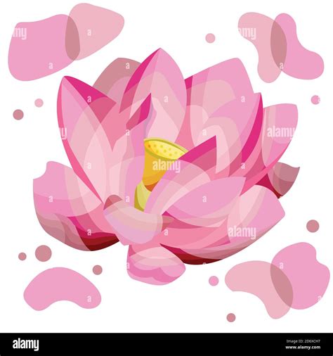 Vector Illustration Of A Lotus Stock Vector Image Art Alamy