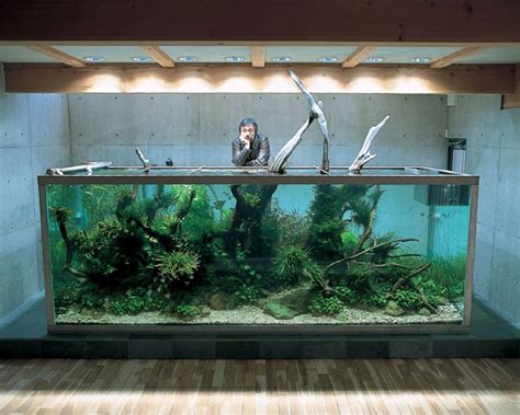 Nature Aquarium By Takashi Amano Nature Aquarium Aquarium Aquascape