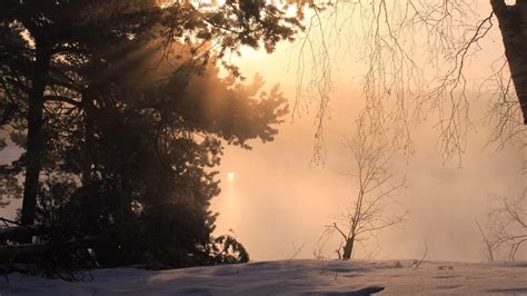🥇 Sunset Winter Snow Trees Fog Wallpaper 71737