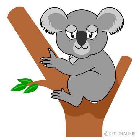 Free Koala On Tree Cartoon Image｜charatoon