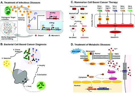 Cellular Biosensors With Complex Genetic Logic Operations For Numerous