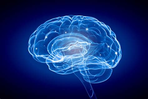 Elle atteint progressivement les neurones et entraîne une faiblesse. Maladie de Charcot (SLA) : traitements et espérance de vie