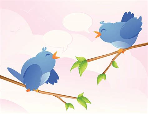 Male And Female Bluebirds Cartoon Illustrations Royalty Free Vector