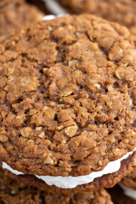 All 100% vegan they will arrive individually wrapped. Vegan Oatmeal Cream Pies | plant.well