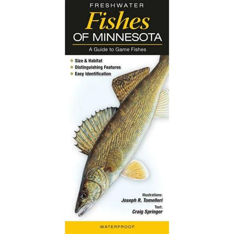 Freshwater Fishes Of Minnesota A Guide To Game Fish