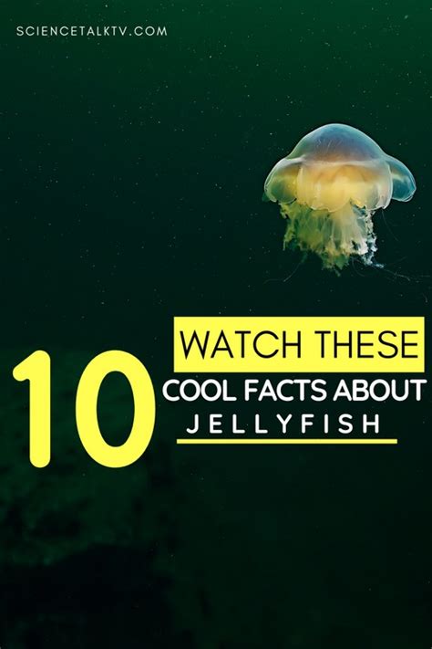 10 Cool Facts About Jellyfish