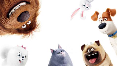 The Secret Life Of Pets Wallpapers Top Free The Secret Life Of Pets