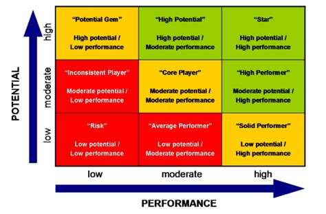 Using The 9 Box Grid With The Performance Values Matrix Talent
