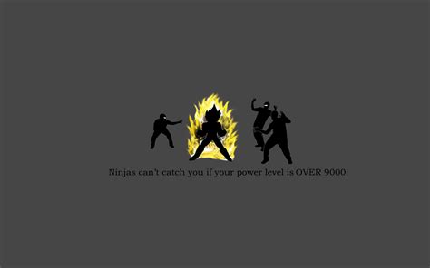 Ninjas Full HD Wallpaper and Background Image | 1920x1200 | ID:96761
