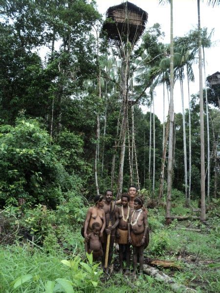 Korowai Tribe In Yahukimo Asmat Papua Indonesia Cool Tree Houses Crazy Houses Tree House
