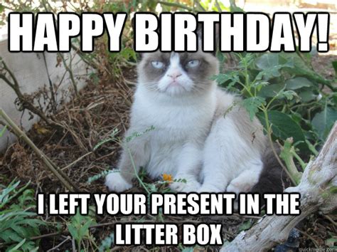 100 Best Happy Birthday Cat Memes And Images