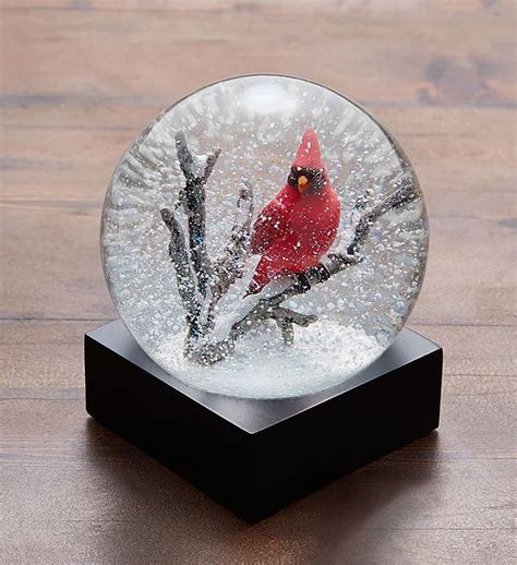 Cardinal Snow Globe By Coolsnowglobes Christmas Snow Globes Snow