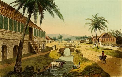 Tour Of The Jamaica Plantations With James Hakewill In 1820
