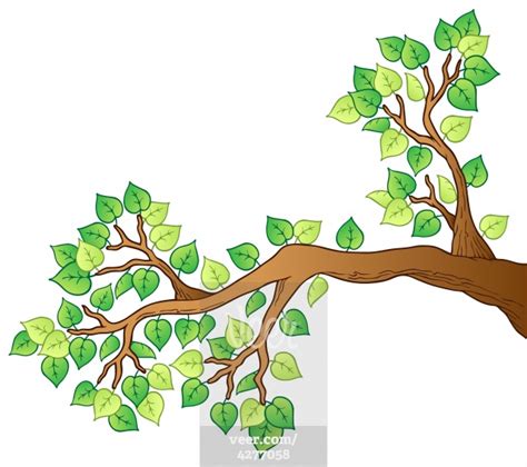 Cartoon Tree With Branches Images Clipart And More