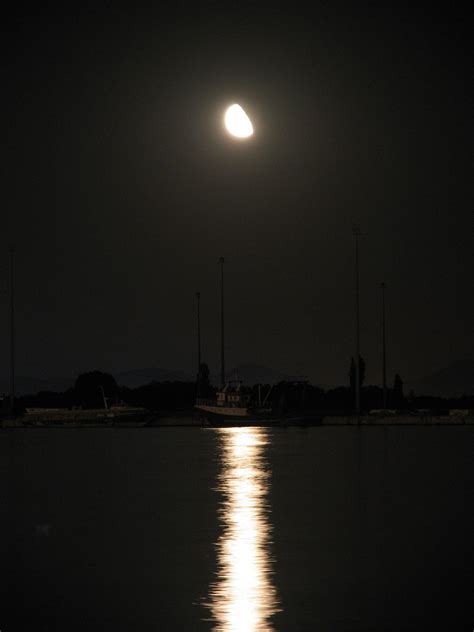 Moonlight On Water Free Photo Download Freeimages