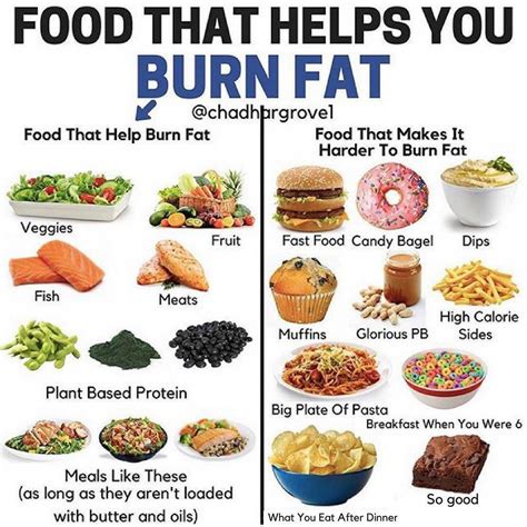 Nutrition For Fat Burning Health Rijals Blog