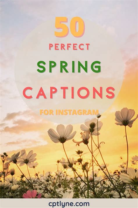 Flowers With The Words 50 Perfect Spring Captions For Instagram