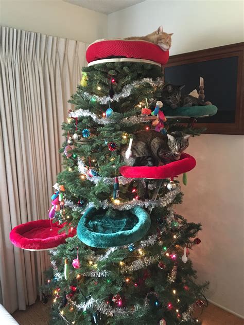 Catmas Tree Christmas Tree With Cat Toys For Ornaments And Perches For