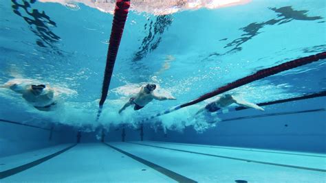 Underwater Swimming Pool Lanes Stock Video Footage 4k And Hd Video Clips Shutterstock