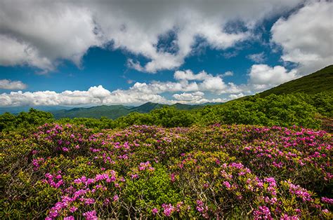 Zillow has 417 homes for sale in spring tx. Blue Ridge Parkway Landscape Photography Craggy Gardens ...