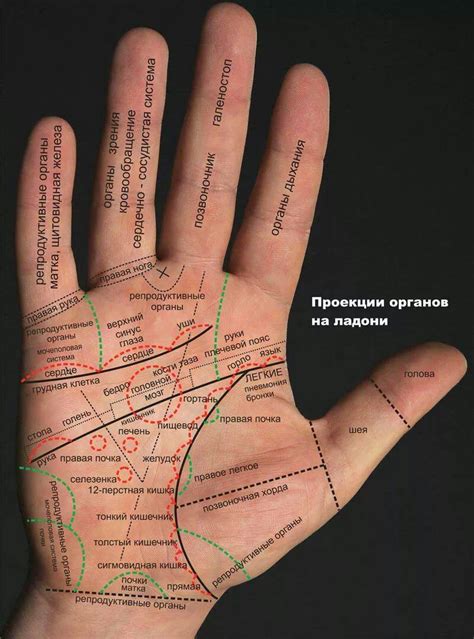 Хиромантия на руке с расшифровкой 28 фото