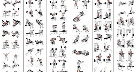 Best 6 Day Workout Routine To Get The Best Results