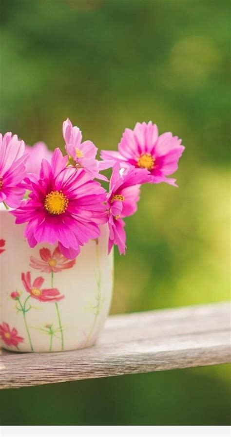 274 best images about good morning with love on pinterest. Pink bouquet flowers in a cup of coffee - HD wallpaper