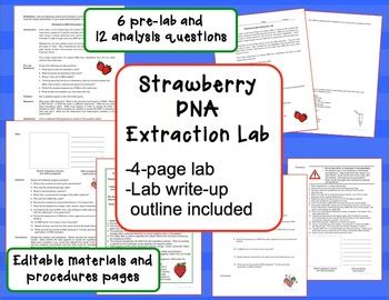 We always make sure that writers follow all your instructions precisely. Genetics: Strawberry DNA Extraction Lab by Tamra Young | TpT