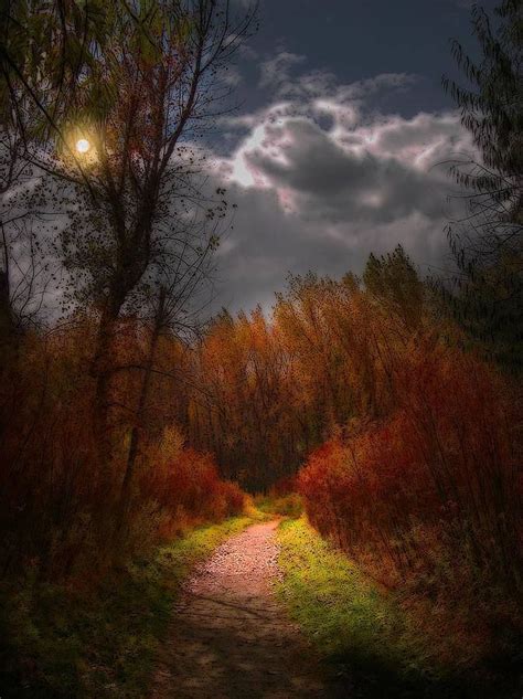 Autumn Walk In The Moonlight Beautiful Nature Fall Pictures Scenery