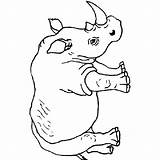 Coloring Rhino Popular sketch template