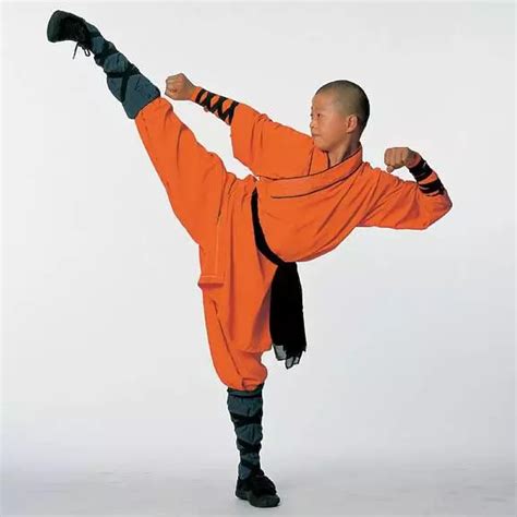 Kung Fu Kick Тайцзицюань Боевые искусства Кунг фу