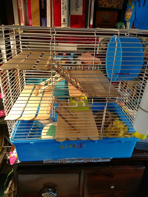 This Is What Happens When A Crafter Gets A Store Bought Gerbil Cage I
