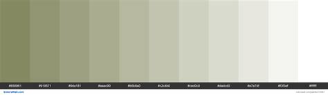 Mosstone Colors Palette 858961 919571 9da181 Colorswall