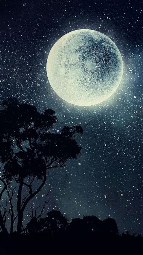 Noche Estrellada Luna árboles Silueta Oscuridad Estrellas Gris