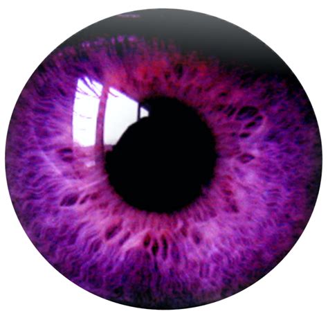 Eyelashes Clipart Purple Eye Eyelashes Purple Eye Transparent Free For