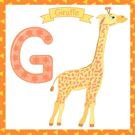 Premium Vector Illustration Of Isolated Animal Alphabet G For Giraffe