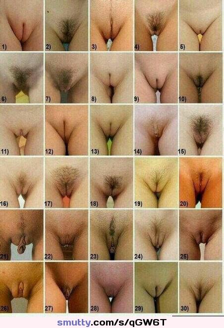 Of pics kinds pussy 20 Types