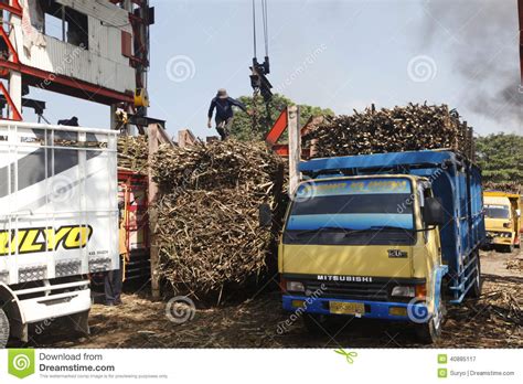 Unloading Cane Editorial Photography Image Of Solo Factory 40885117