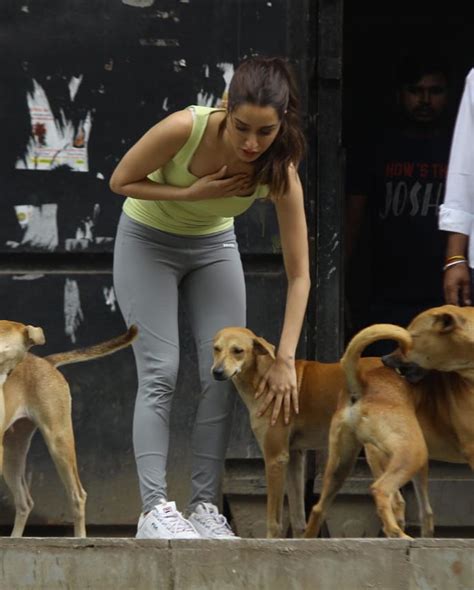 Hagrid asks would yeh rather be asked teh the ball or would yeh like what is associated with gryffindor? Shraddha Kapoor playing with the dogs is the cutest thing ...