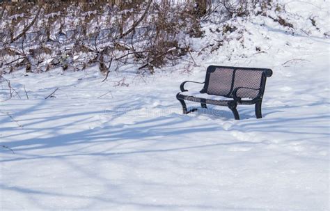 Beautiful Snow Covered Winter Scene With Bench Stock Image Image Of
